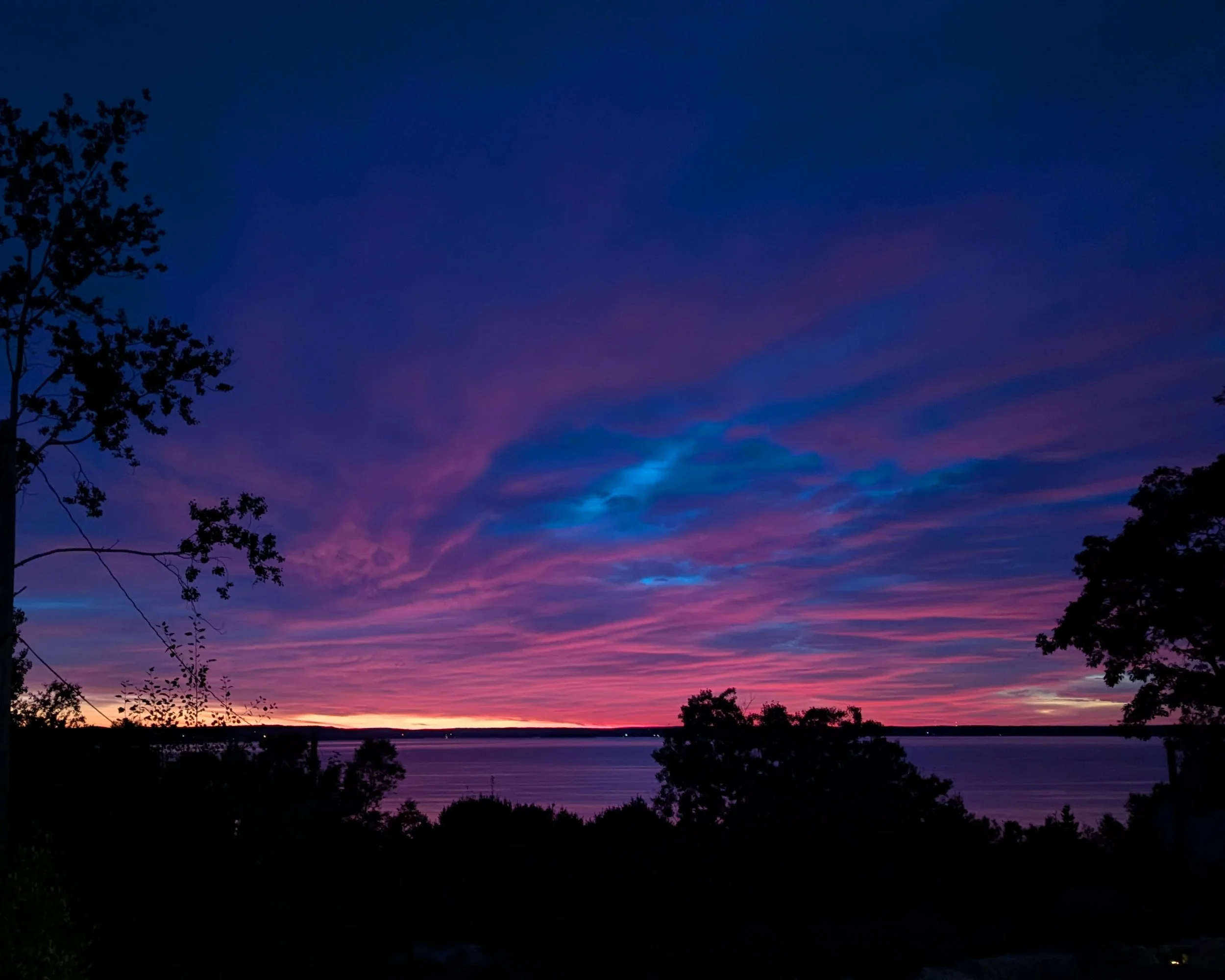 Pink and blue clouds at sunset over the water, dark trees in silhouette.