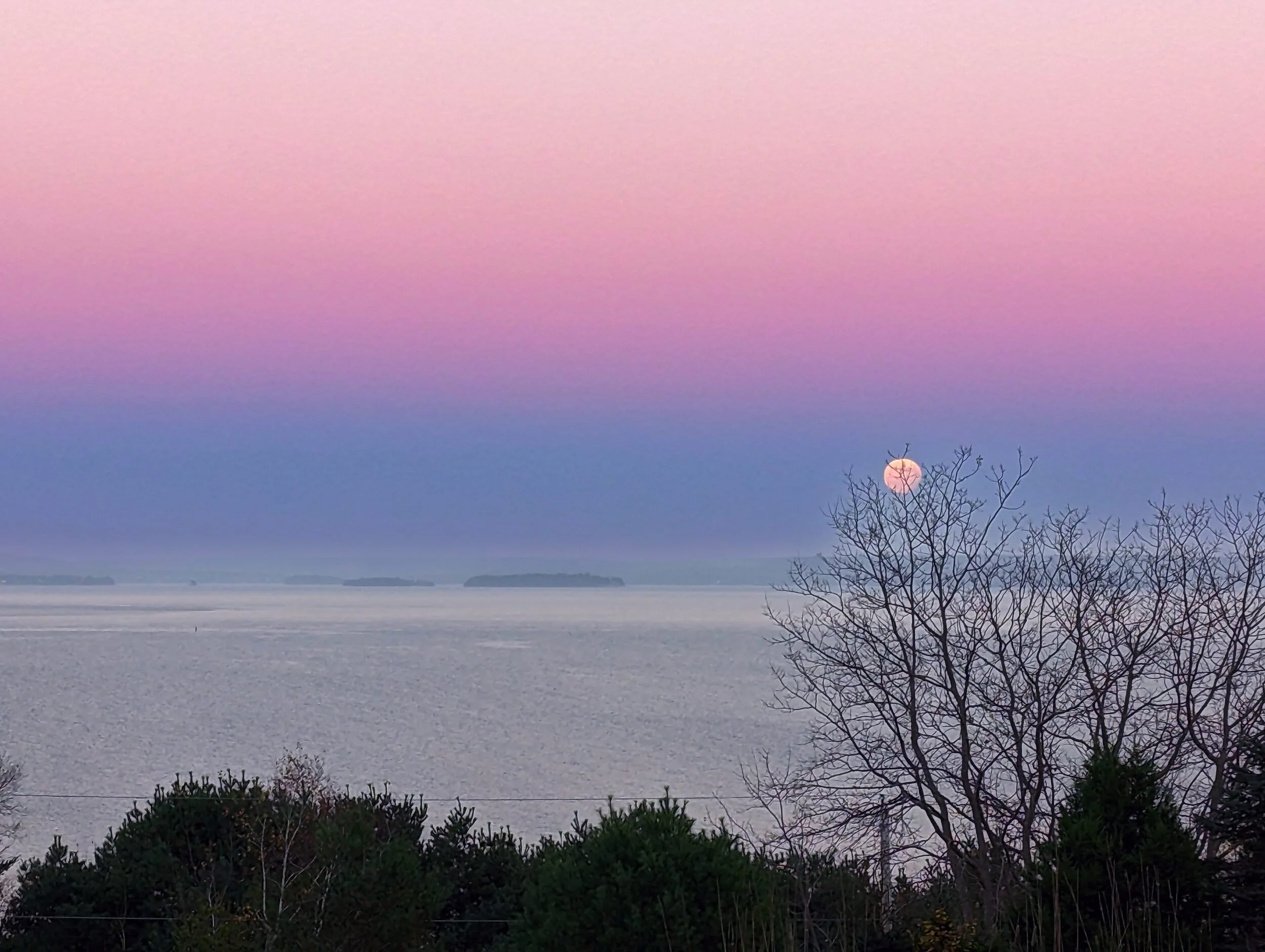 A full moon rising over calm water under a pink and violet sky.