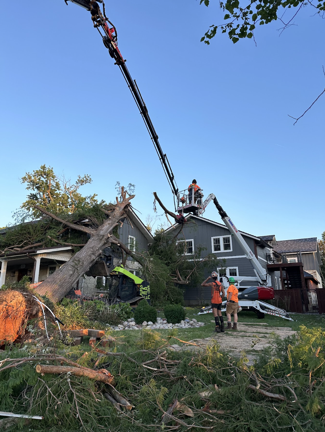 tree down on house