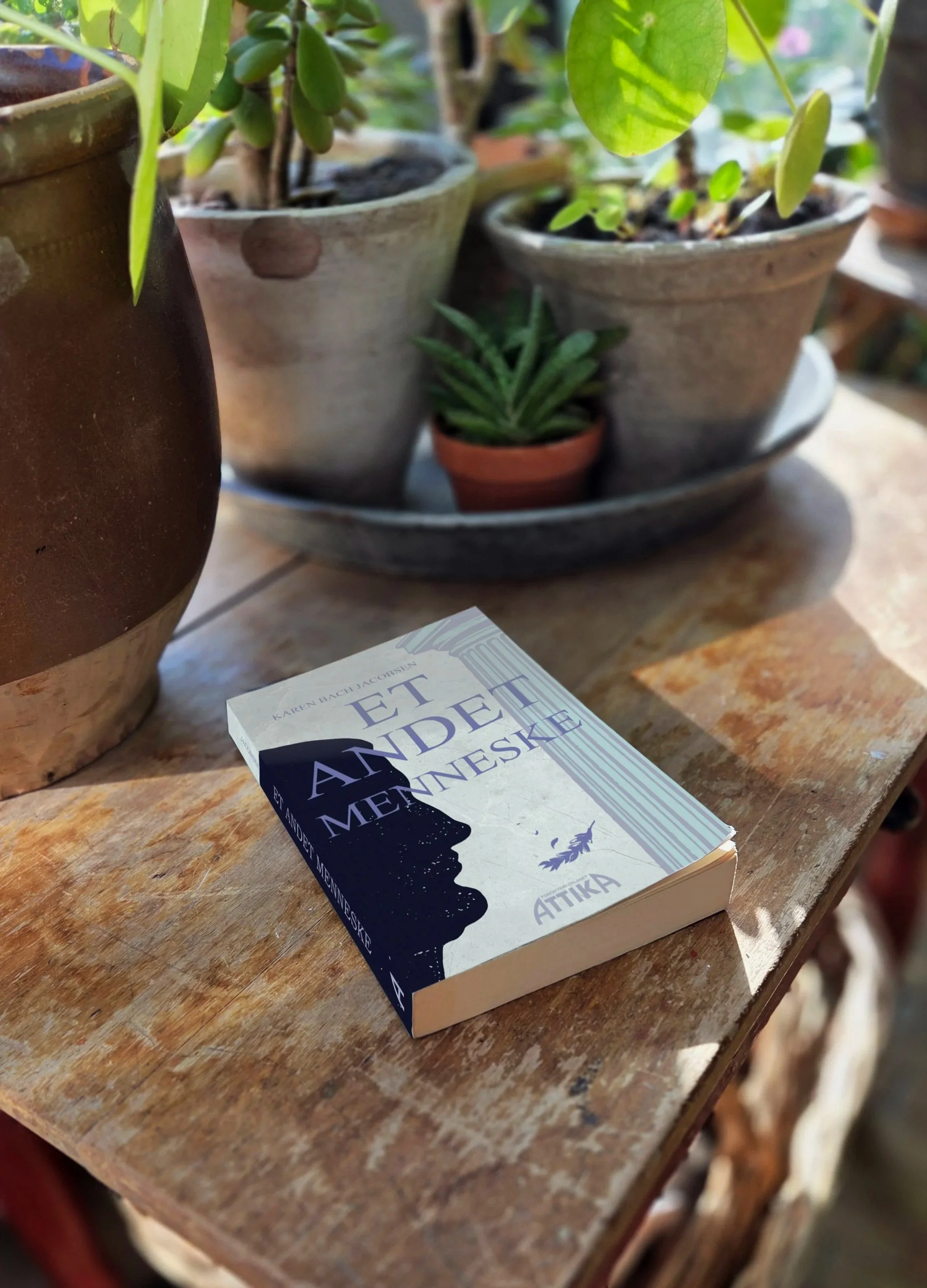 Forside af bogen et andet menneske af Karen Bach Jacobsen