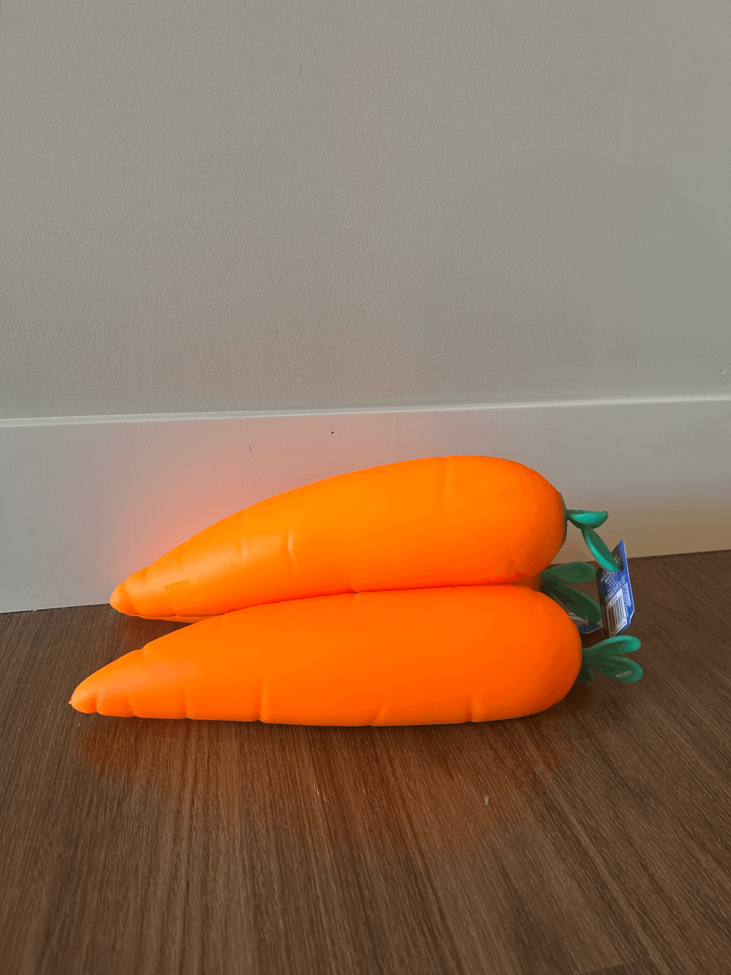 Jumbo Carrot
