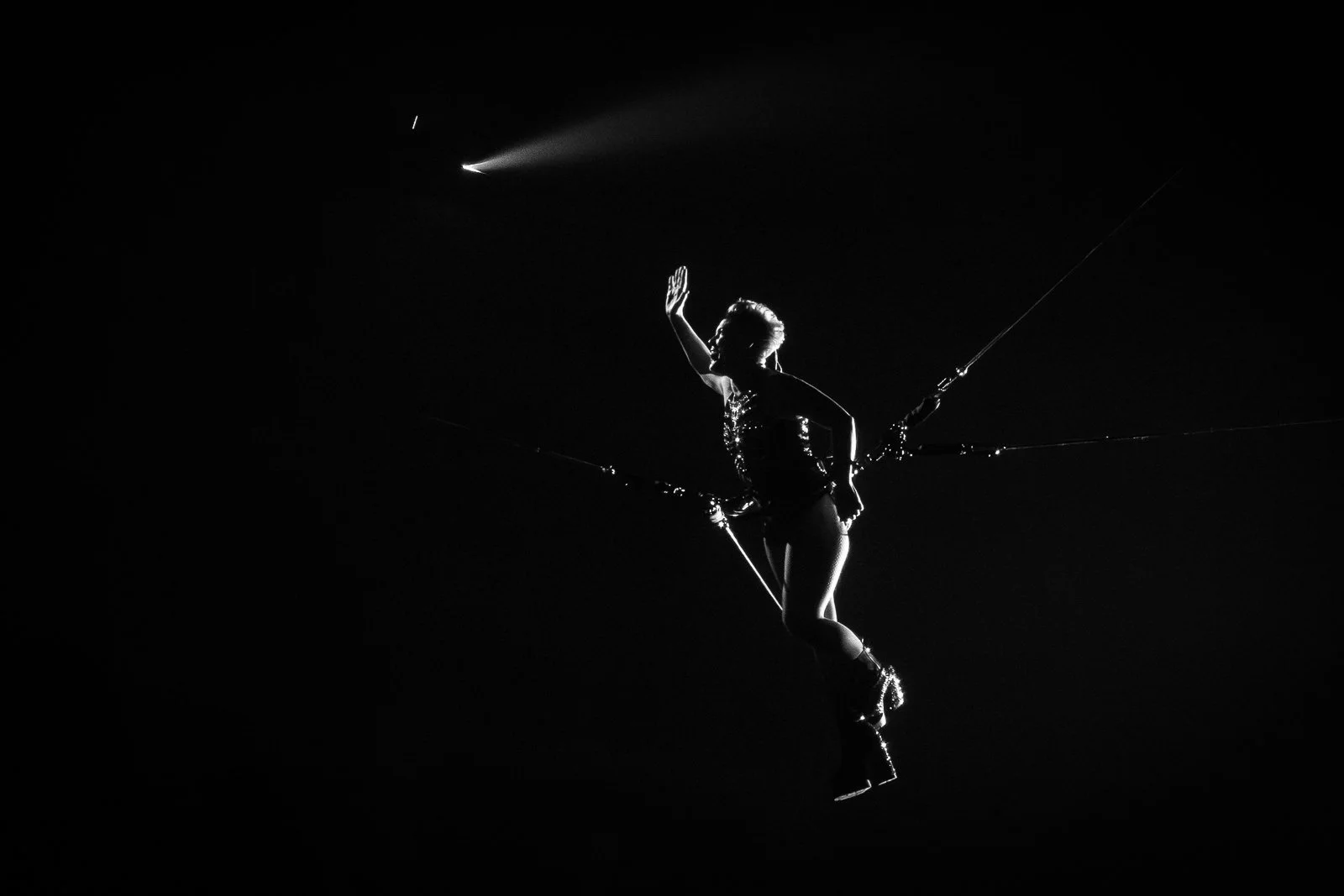 P!nk (Copy)