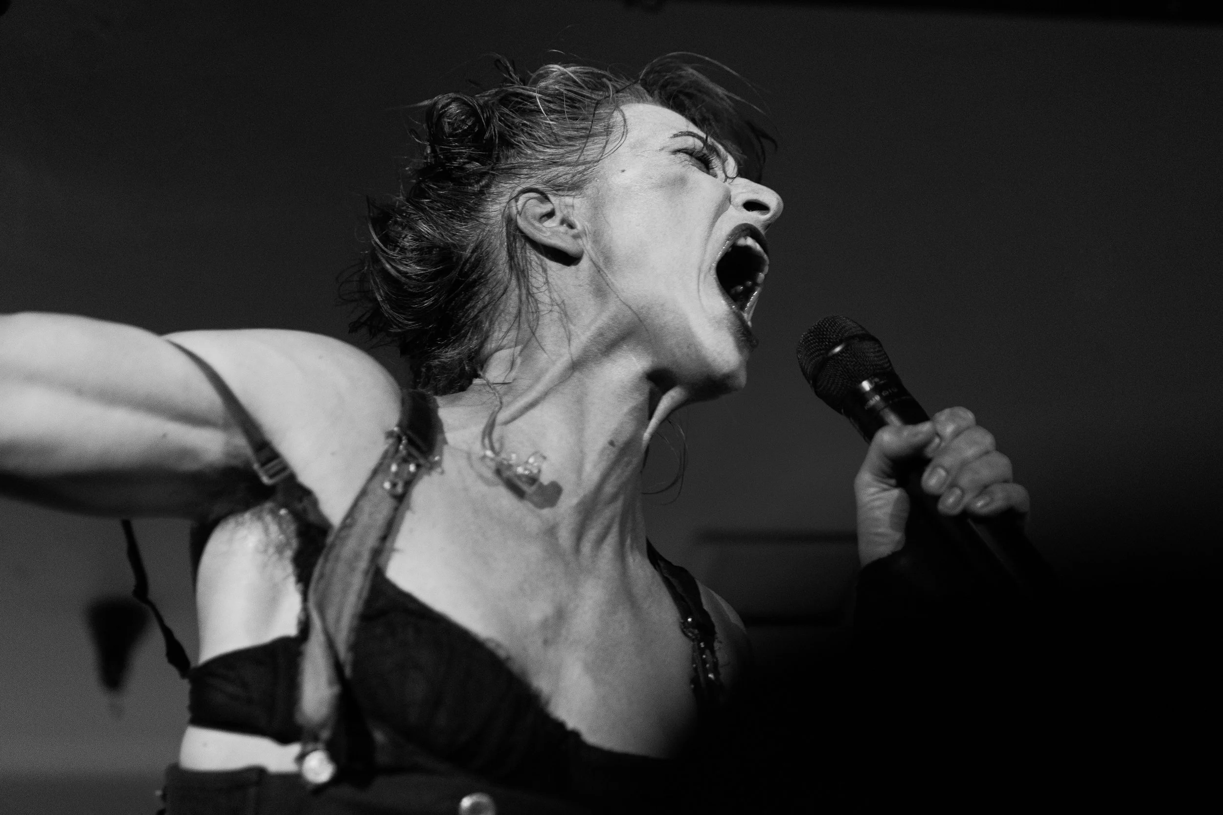 The Dresden Dolls