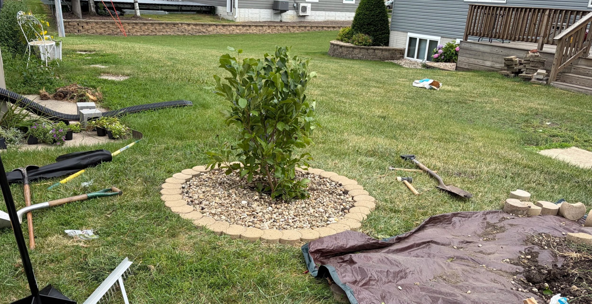 A backyard with a small tree in the center, surrounded by a border of bricks and small rocks. Gardening tools and supplies are scattered around, including shovels, a rake, and a tarp. There are some steps leading to a deck, and nearby are houses with lawns, planters, and flowers.