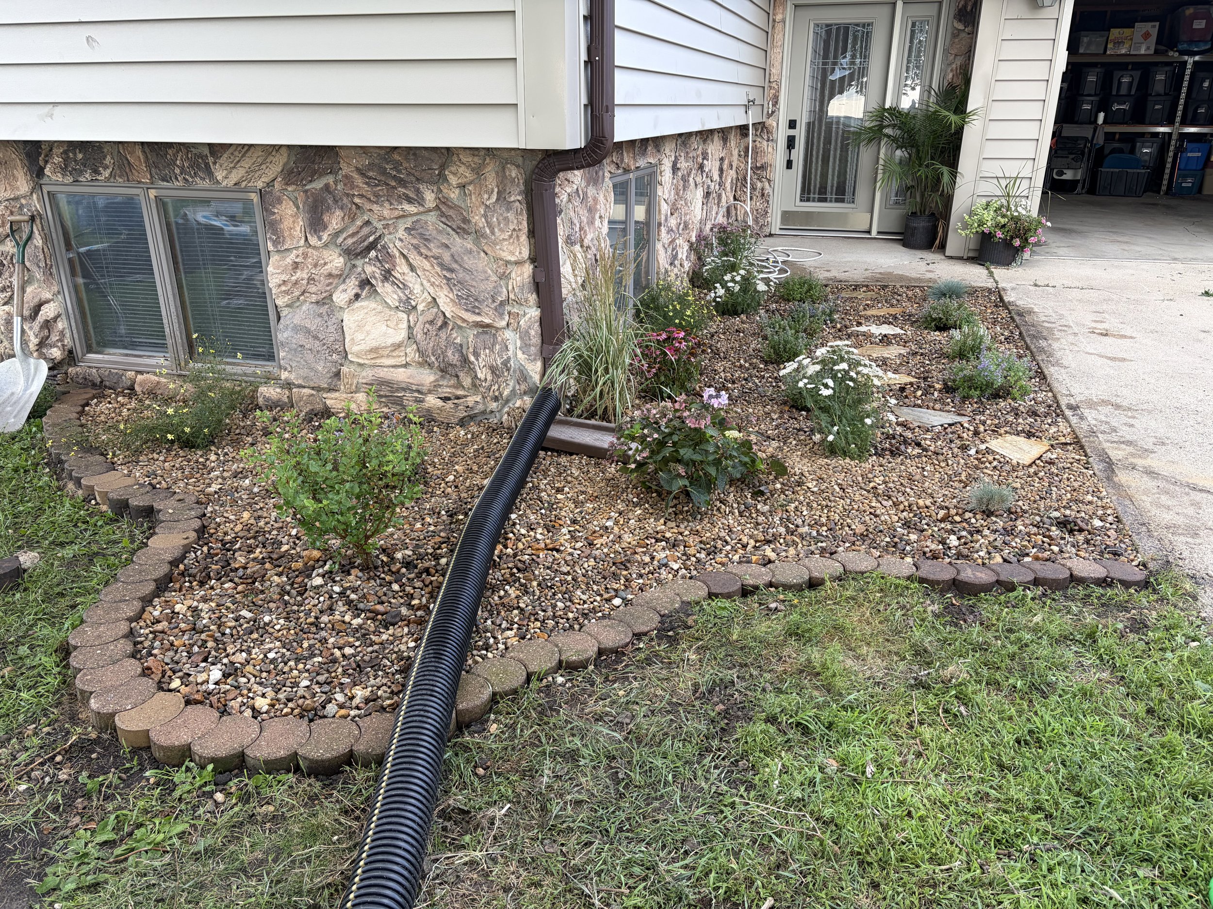 A garden bed with small plants and flowers, bordered by bricks, near the foundation of a house with stone siding and a window. There is a black drainage pipe on the ground.