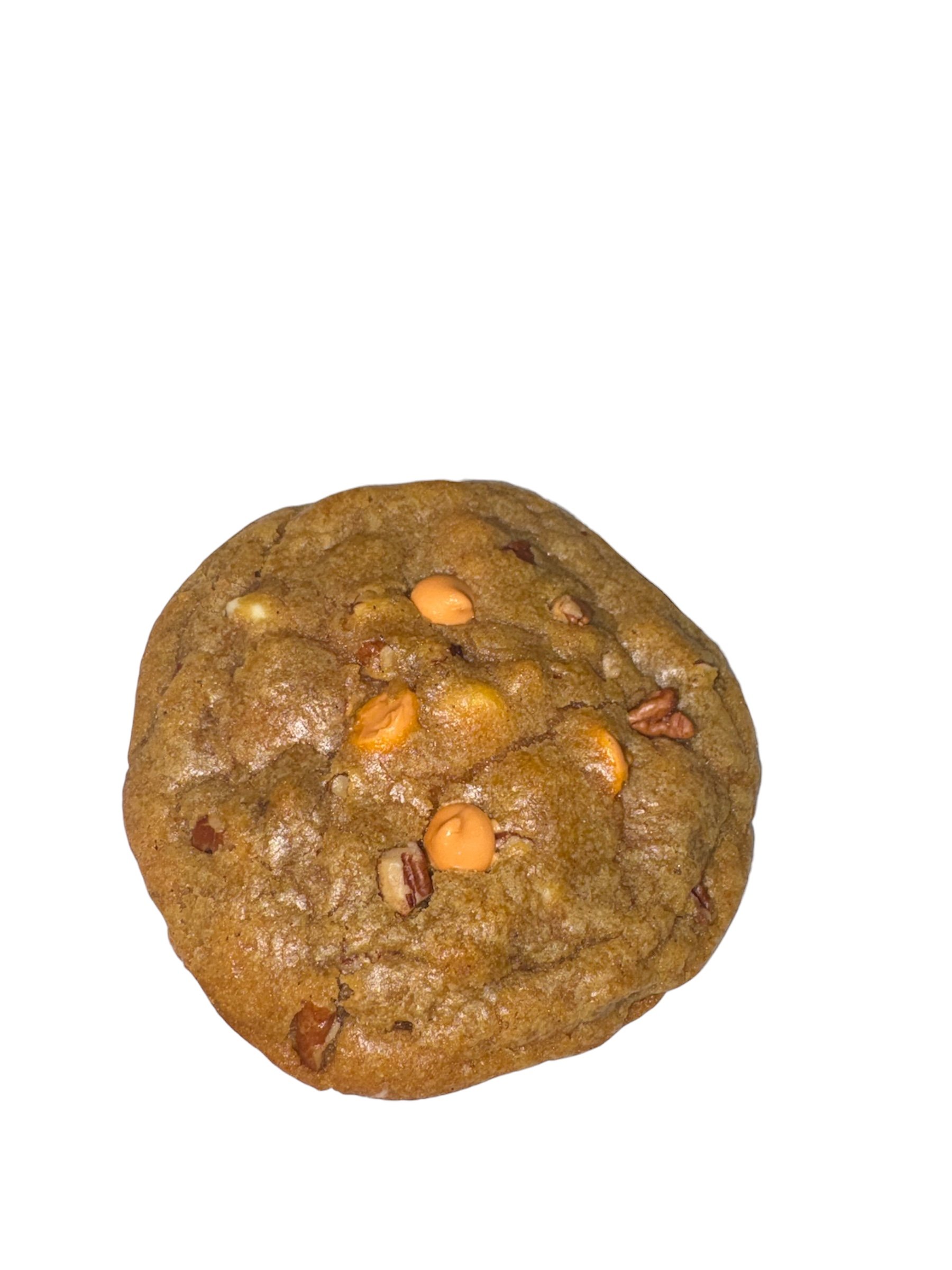 pumpkin close up.jpeg