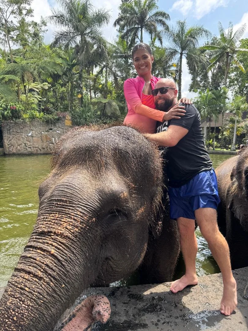 elephant.jpg