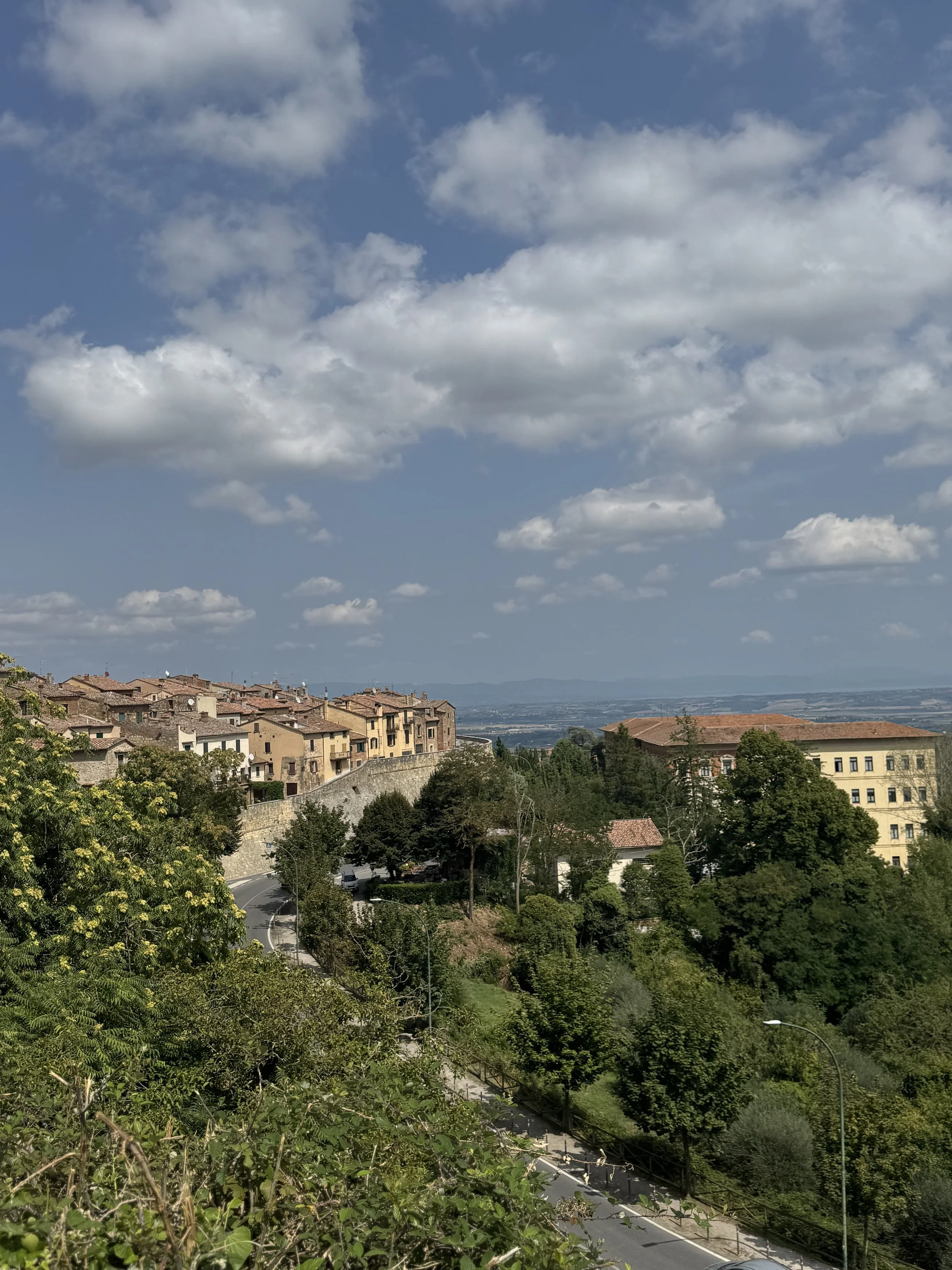 IMG_8851.jpeg