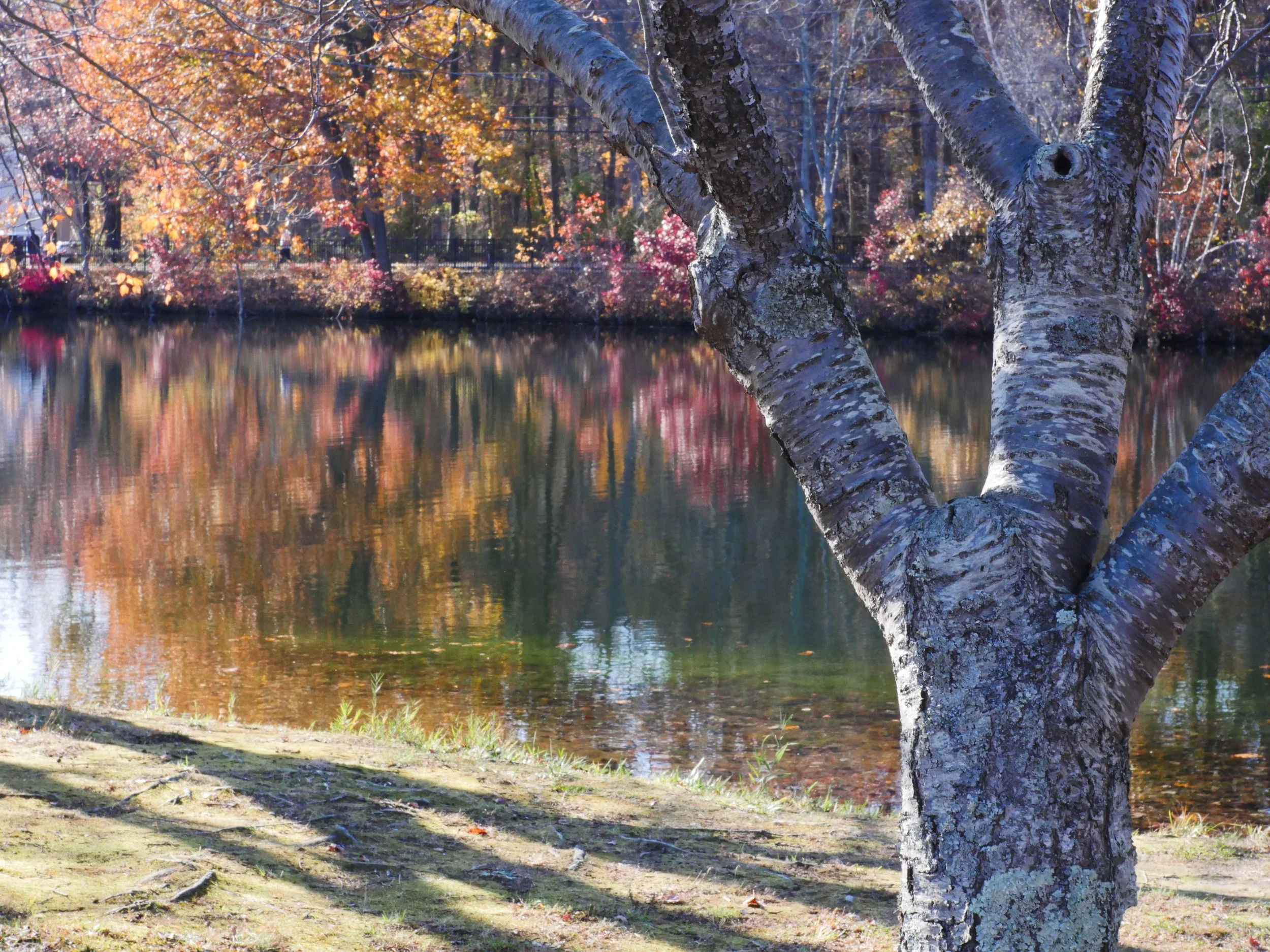 Horseshoe Lake