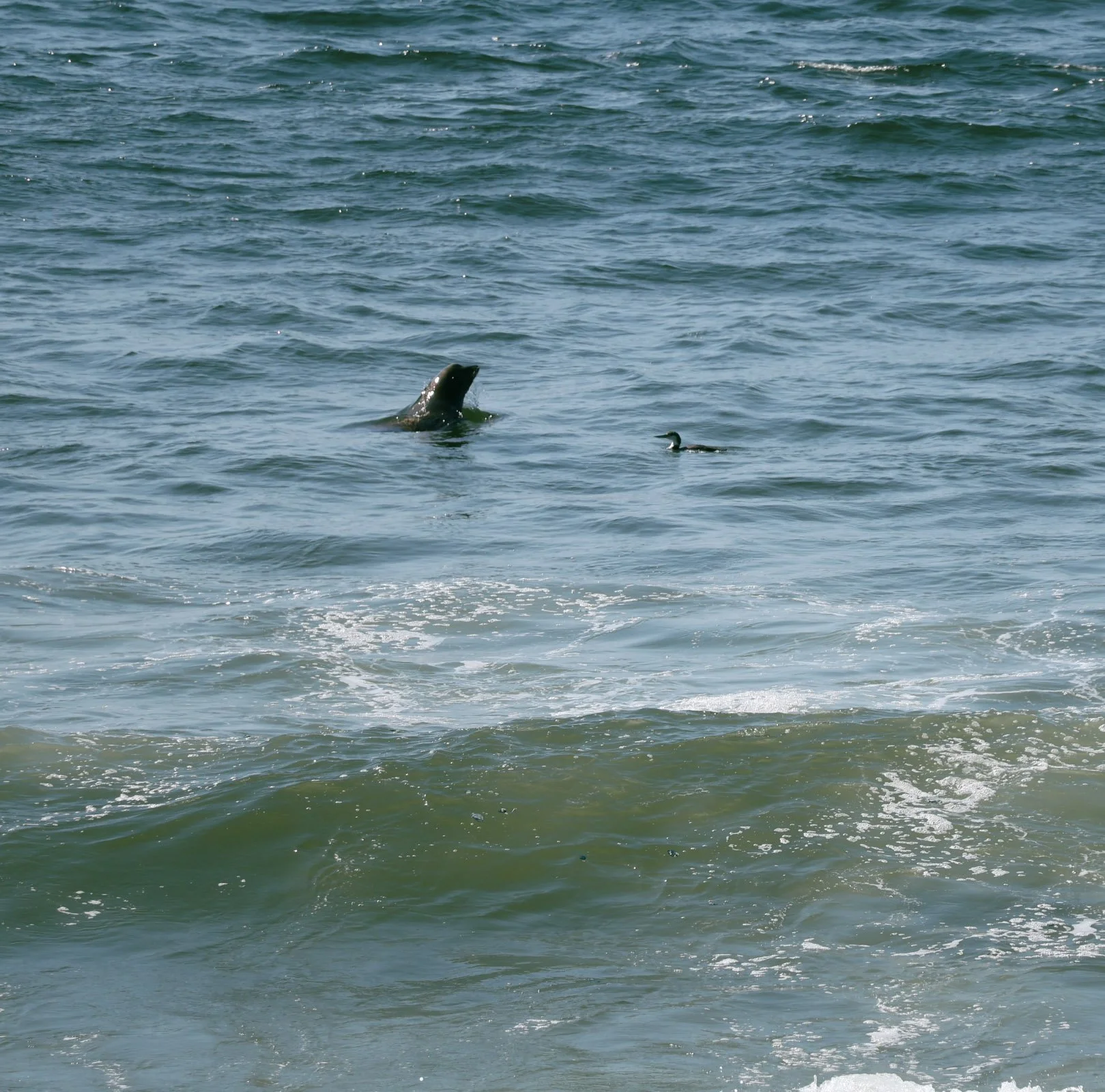98-IMG_1316.jpg