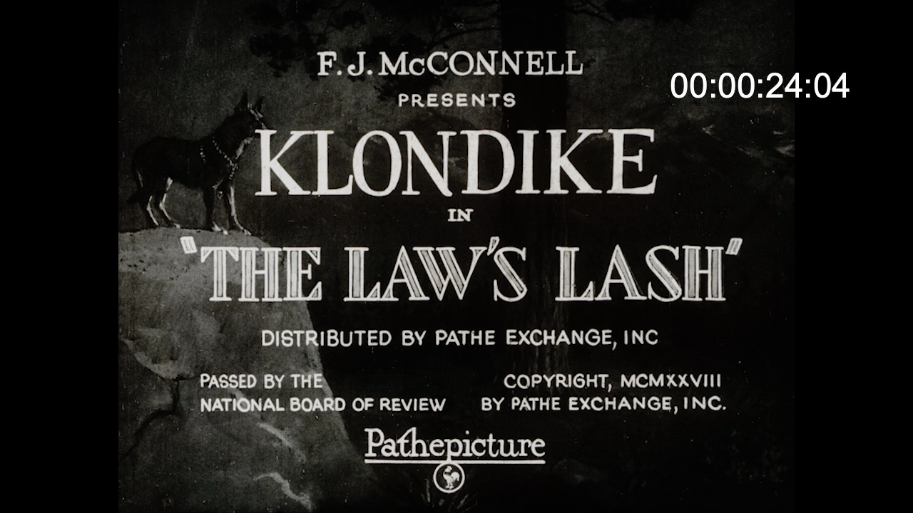 The Law's Lash