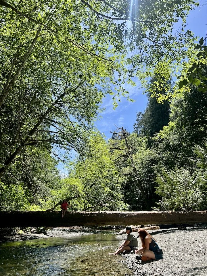 Two people sitting on a riverbank, one in a gray shirt and the other in a blue tank top, with a small child sitting on a fallen tree across the river, surrounded by green trees and blue sky