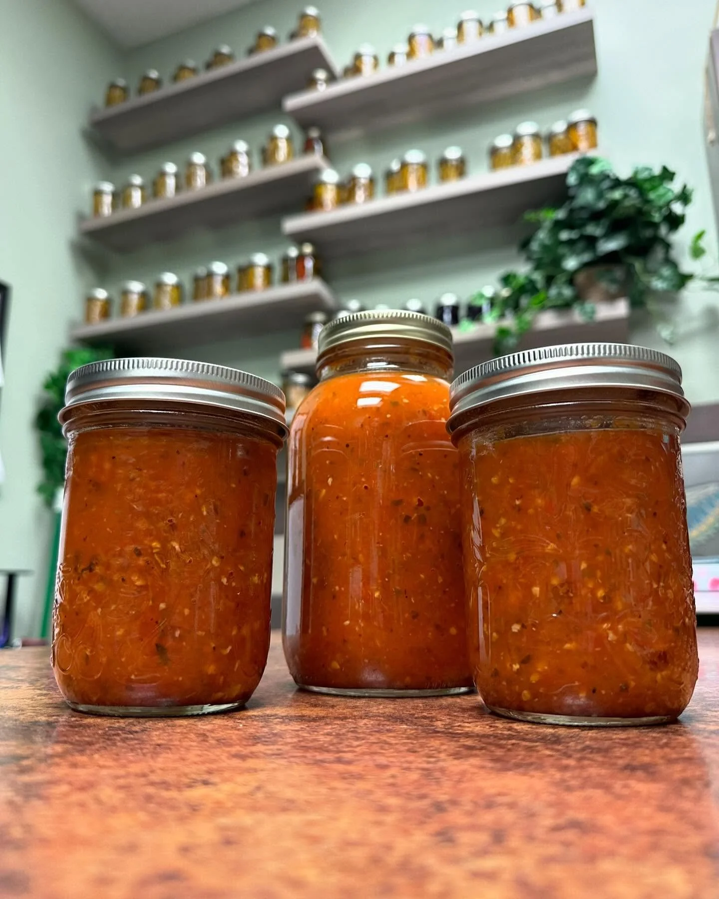 Three jars of homemade tomato sauce placed on a wooden surface, with shelves filled with jars in the background.