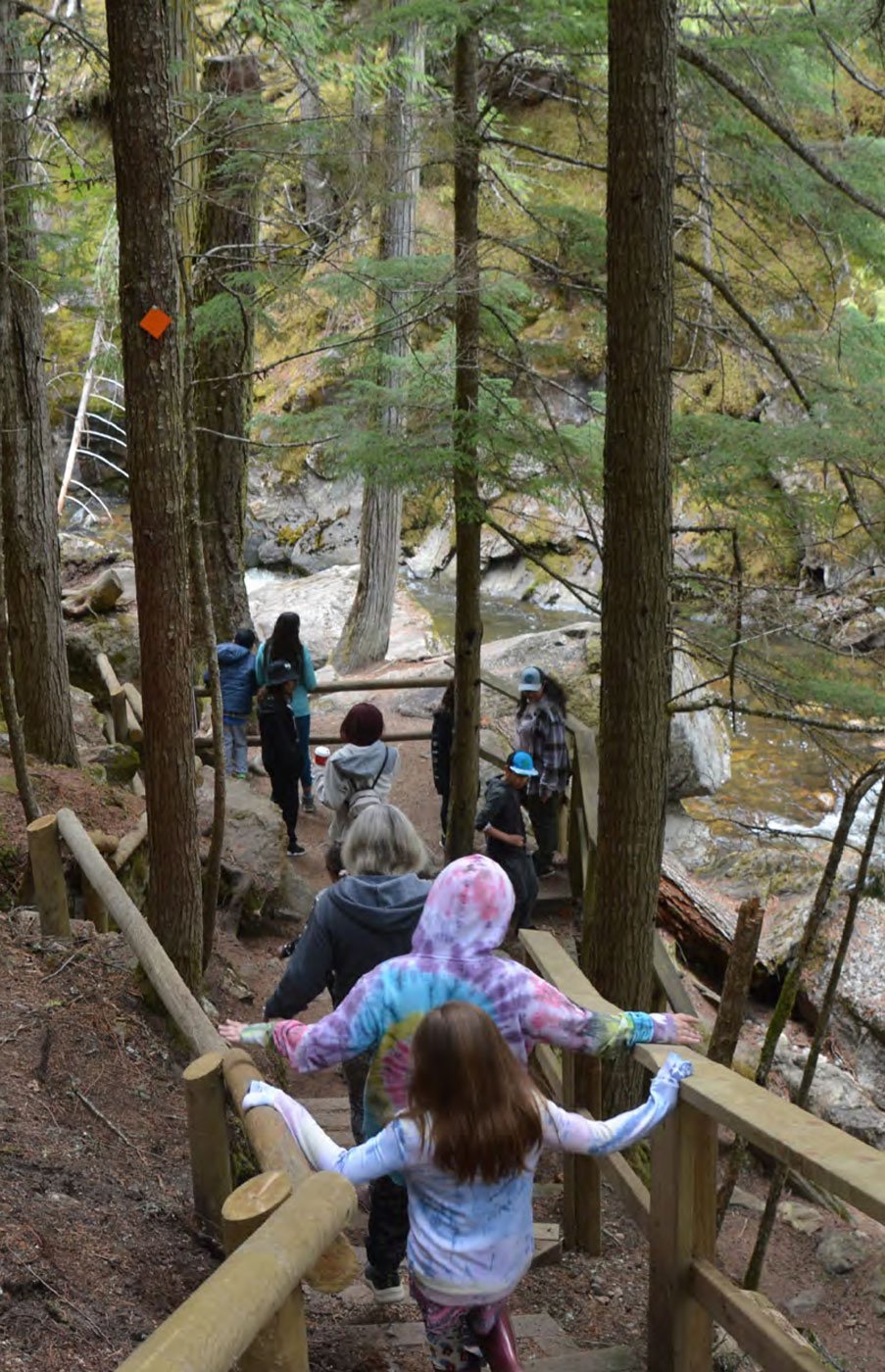People hiking down a forest trail near a stream with rocks and trees.