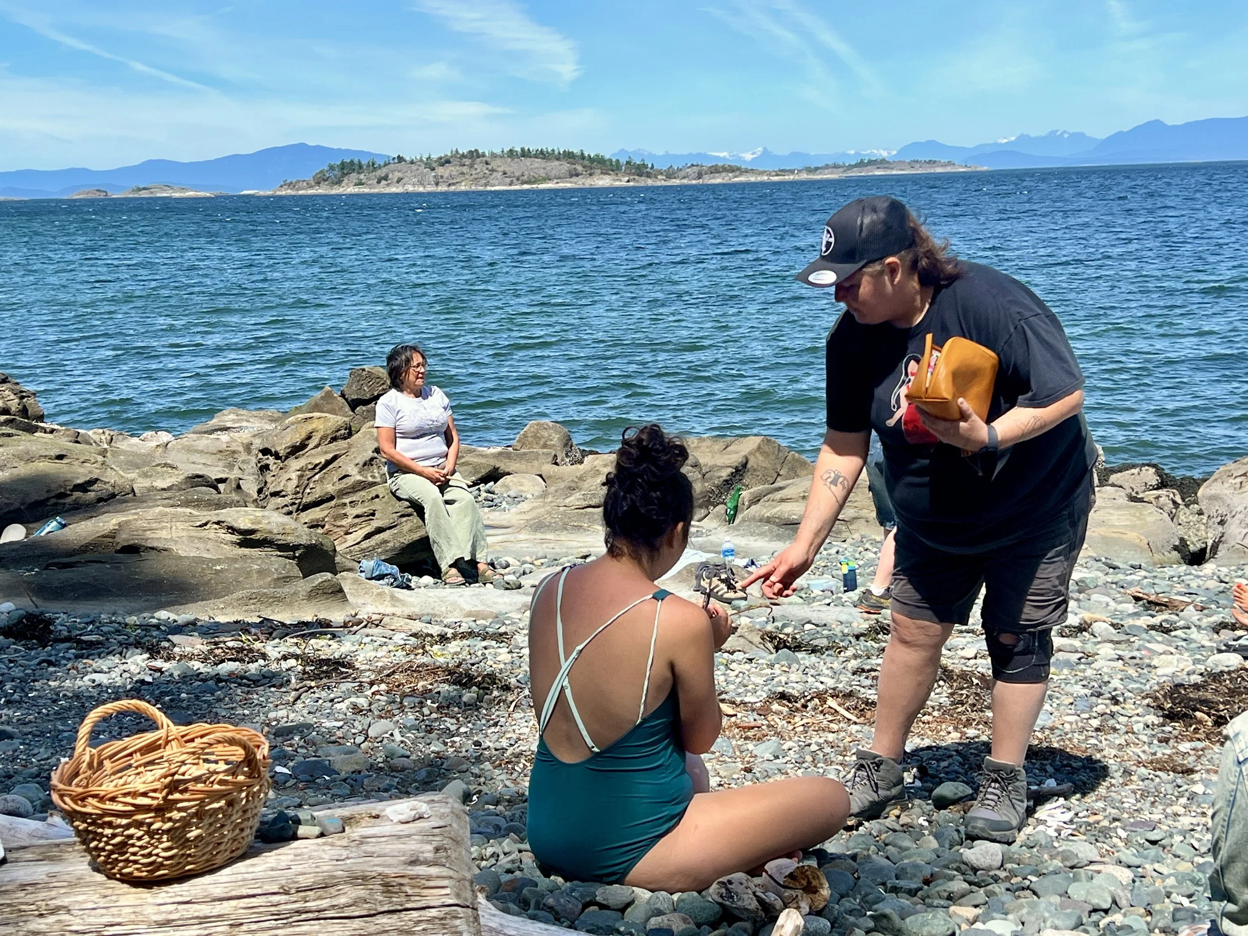 People gathered on a rocky beach by the water, with some sitting and others standing, under a bright blue sky with distant mountains and an island covered in trees in the background.