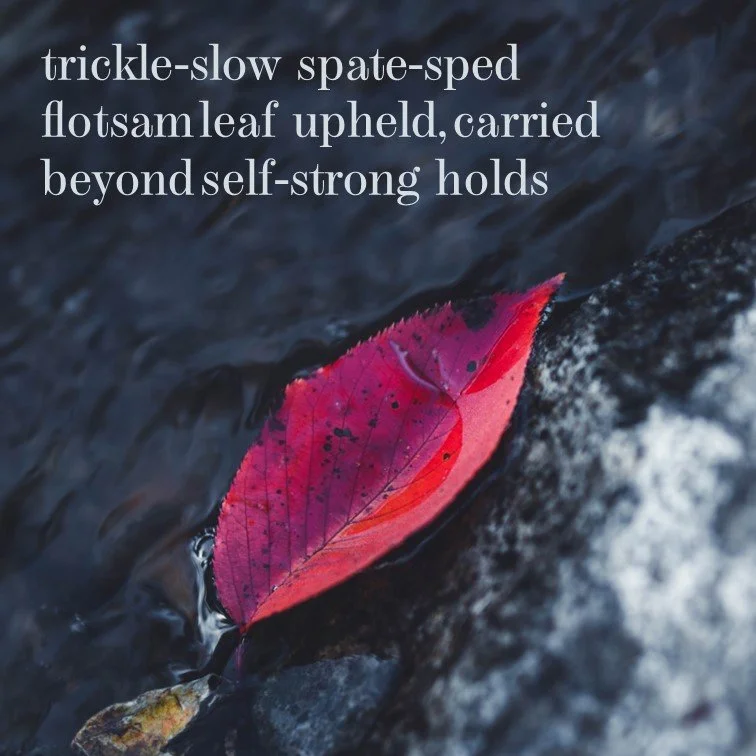A red and pink fallen leaf floating on a dark stream, with the words 'trickle-slow spate-sped flotsam leaf upheld, carried beyond self-strong holds' written over the image.