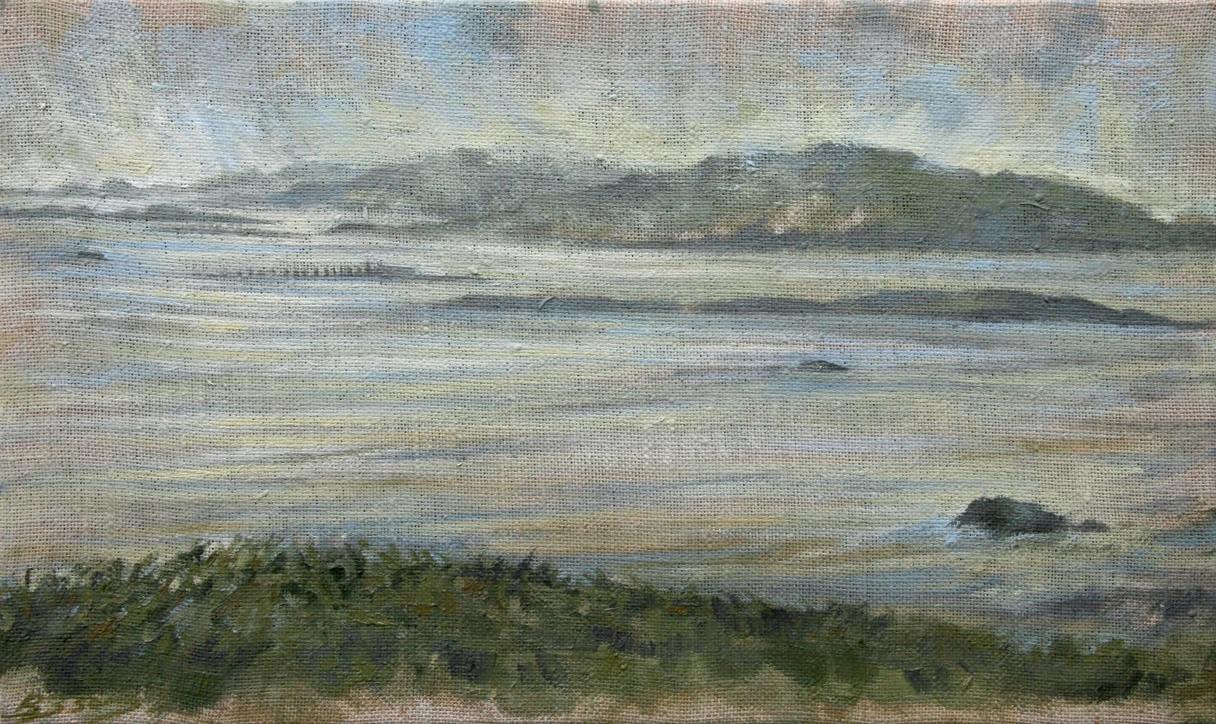 ulva.jpg