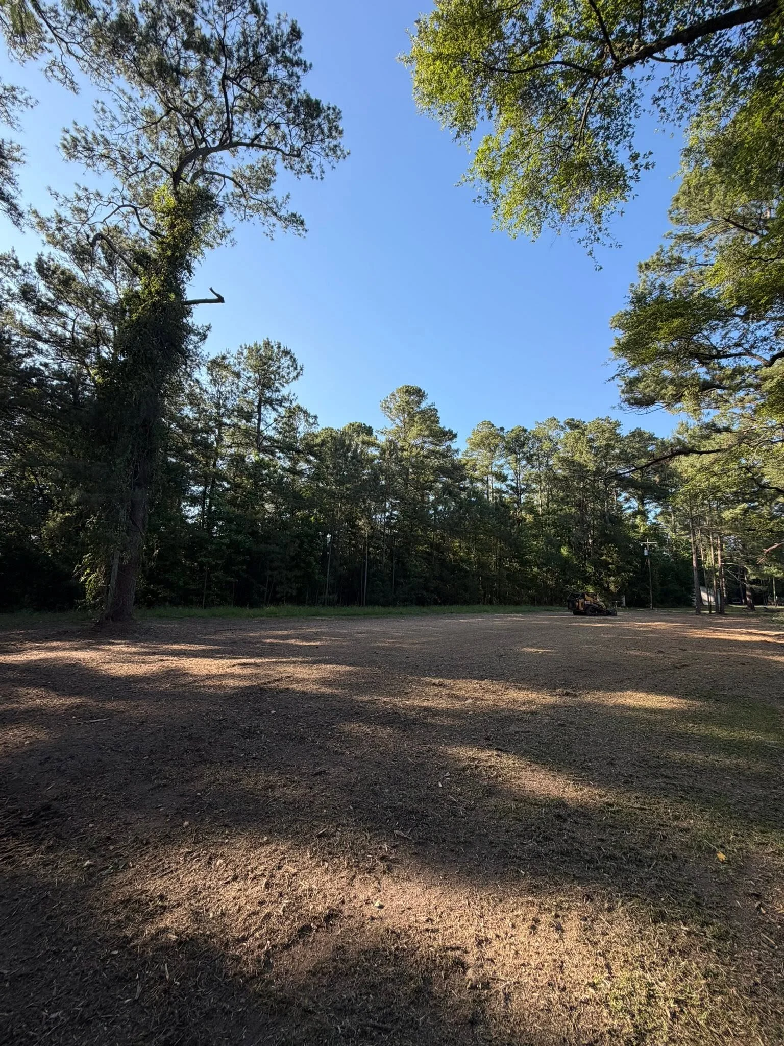 Forestry Mulching