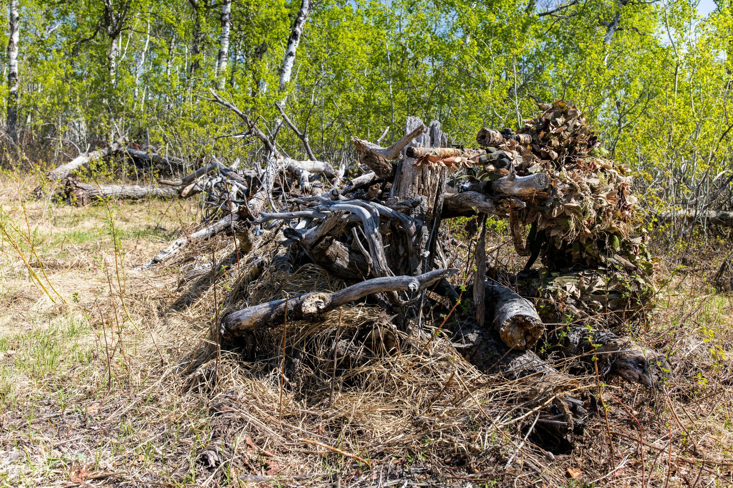 Brush Removal Services