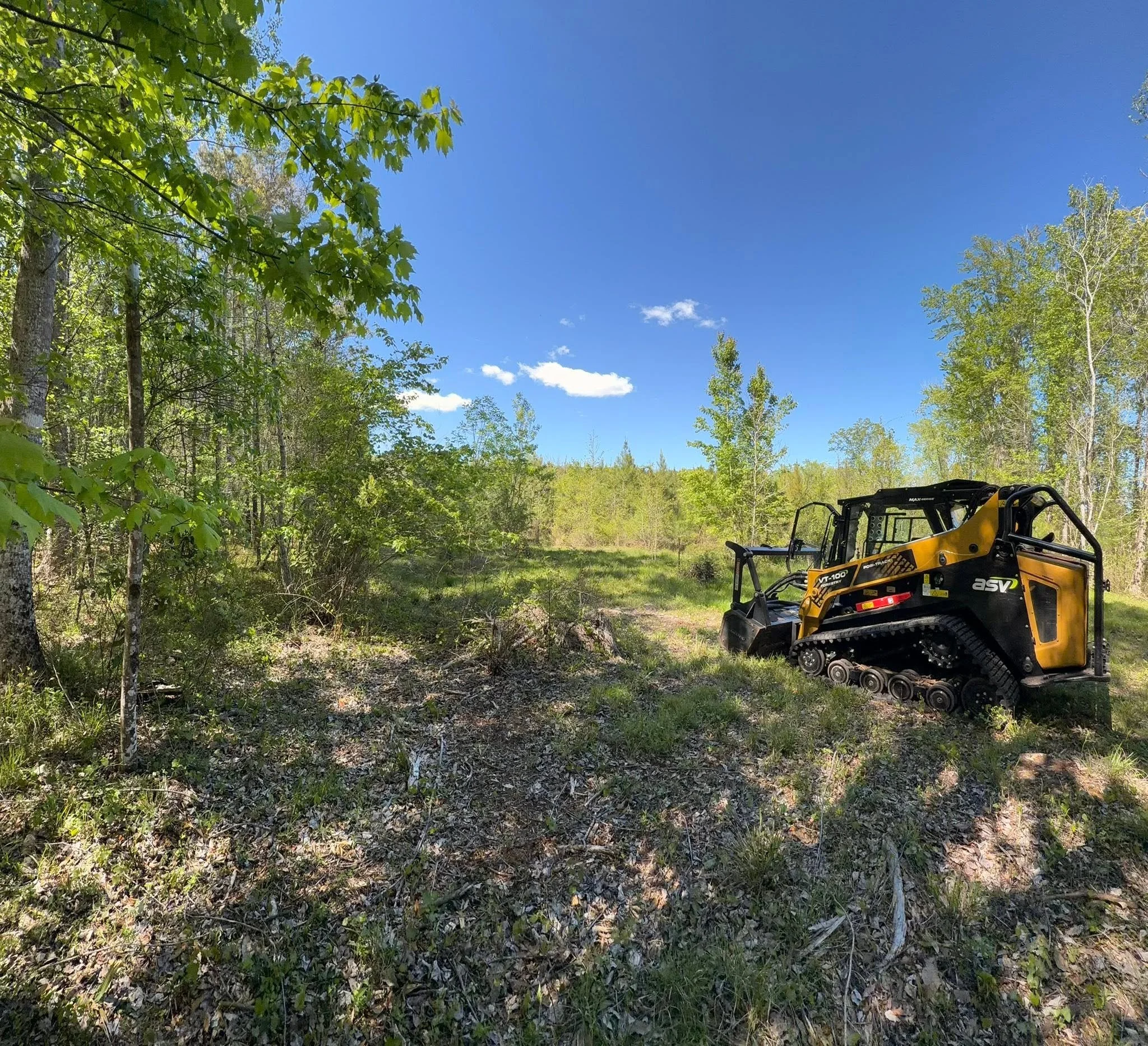 Land Services