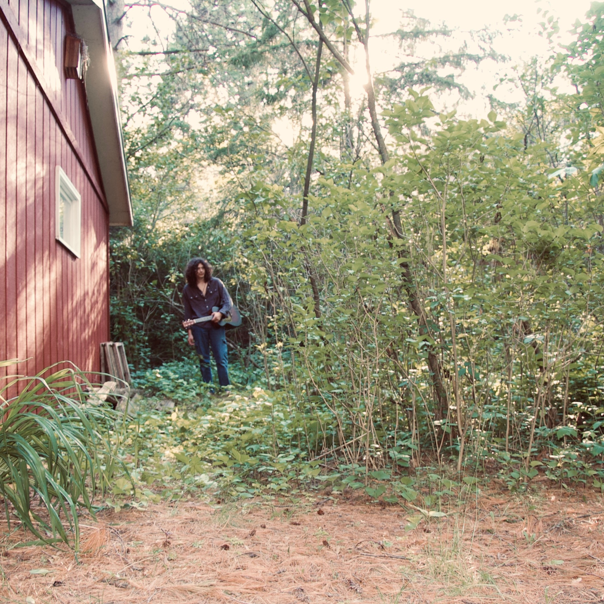 A person with curly hair holding a guitar stands outdoors in a wooded area near a red house with wooden siding. Sunlight filters through the trees, creating a bright background with green leaves and branches.