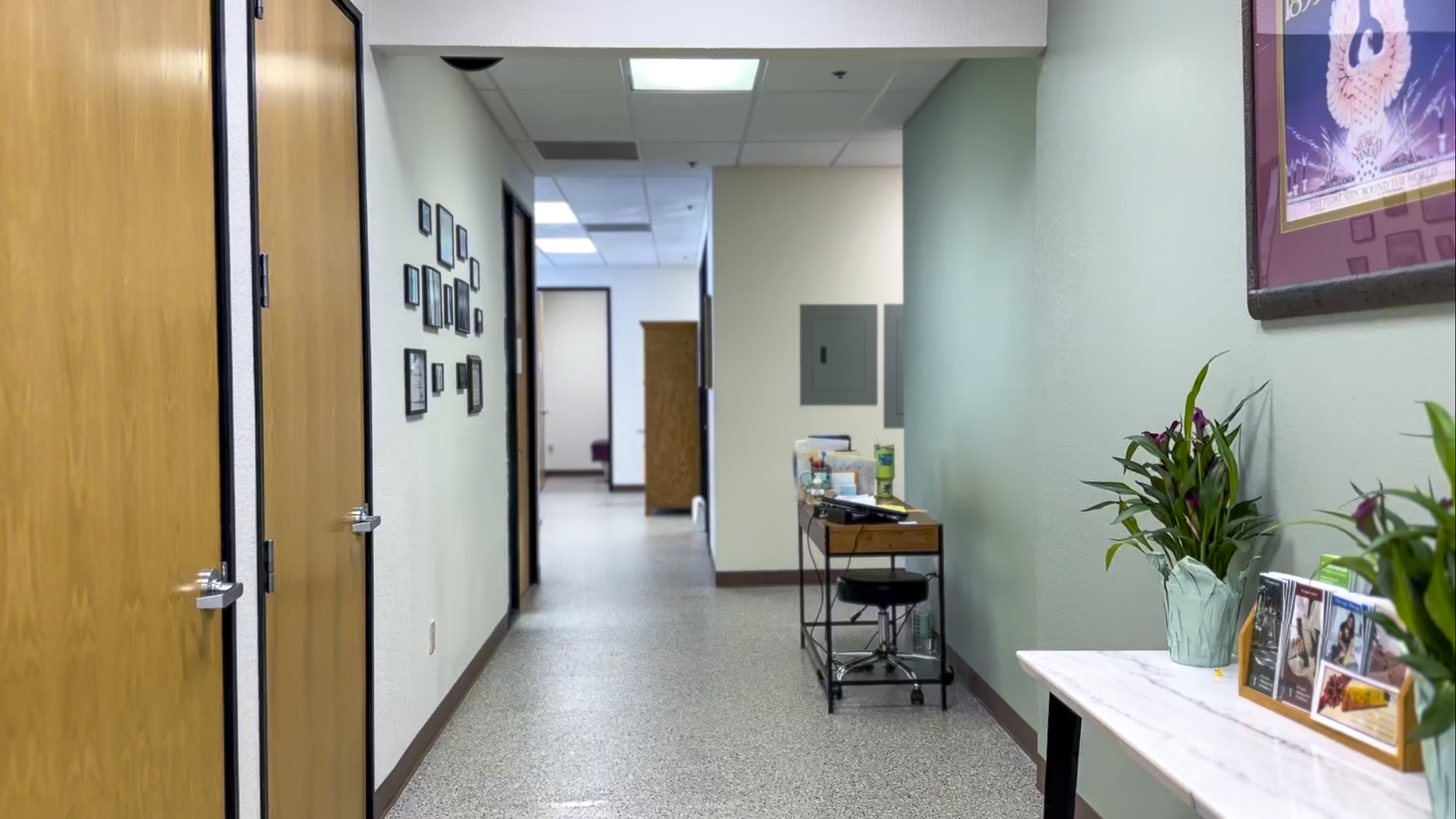 An office hallway with wooden doors on the left, framed pictures on the wall, a small table with brochures and a flower pot on the right, and a corridor leading to different rooms with a ceiling light and beige carpeted floor.