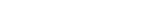 Logo of Steel & Eisner, Limited Liability Partnership