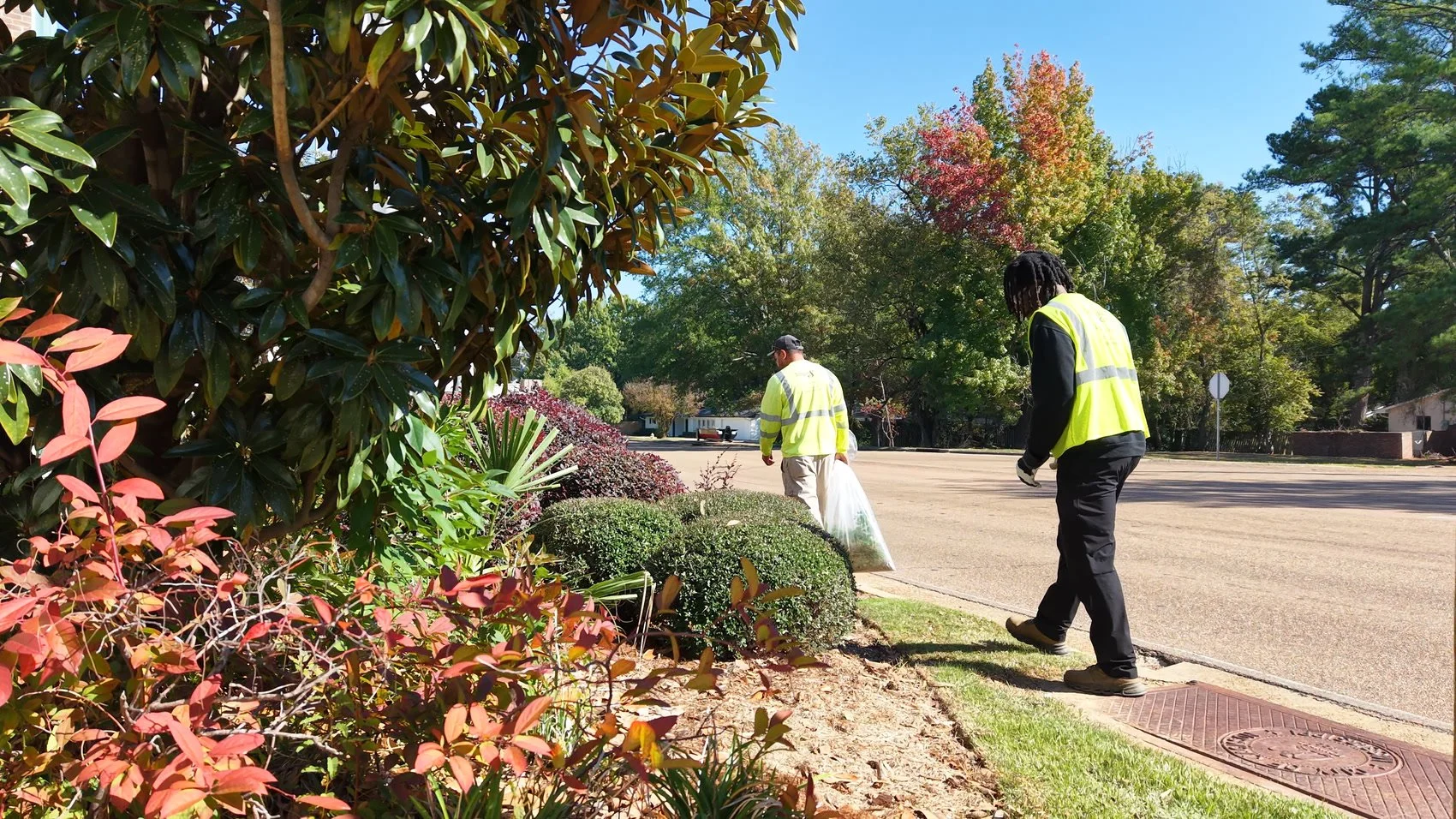 Two men in safety vests planting and maintaining bushes along the side of a street near a park on a sunny day.