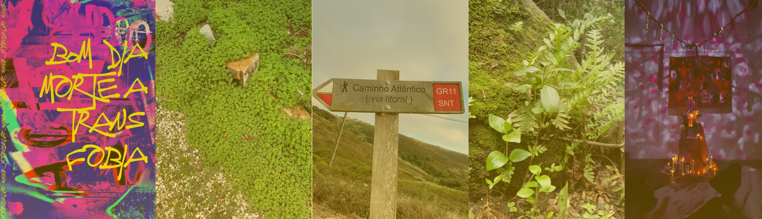 A collage of five images with a central focus on a signpost that reads 'Caminho Atlântico via litoral.' The first image has vibrant text art with the phrase 'Bem da morte a trs foria.' The second image shows green ground cover with small plants and rocks. The third image features a trail sign on a wooden post labeled 'Caminho Atlântico via litoral.' The fourth showcases green leafy plants growing along a path. The fifth depicts a decorative religious image or altar with candles and hanging ornaments.