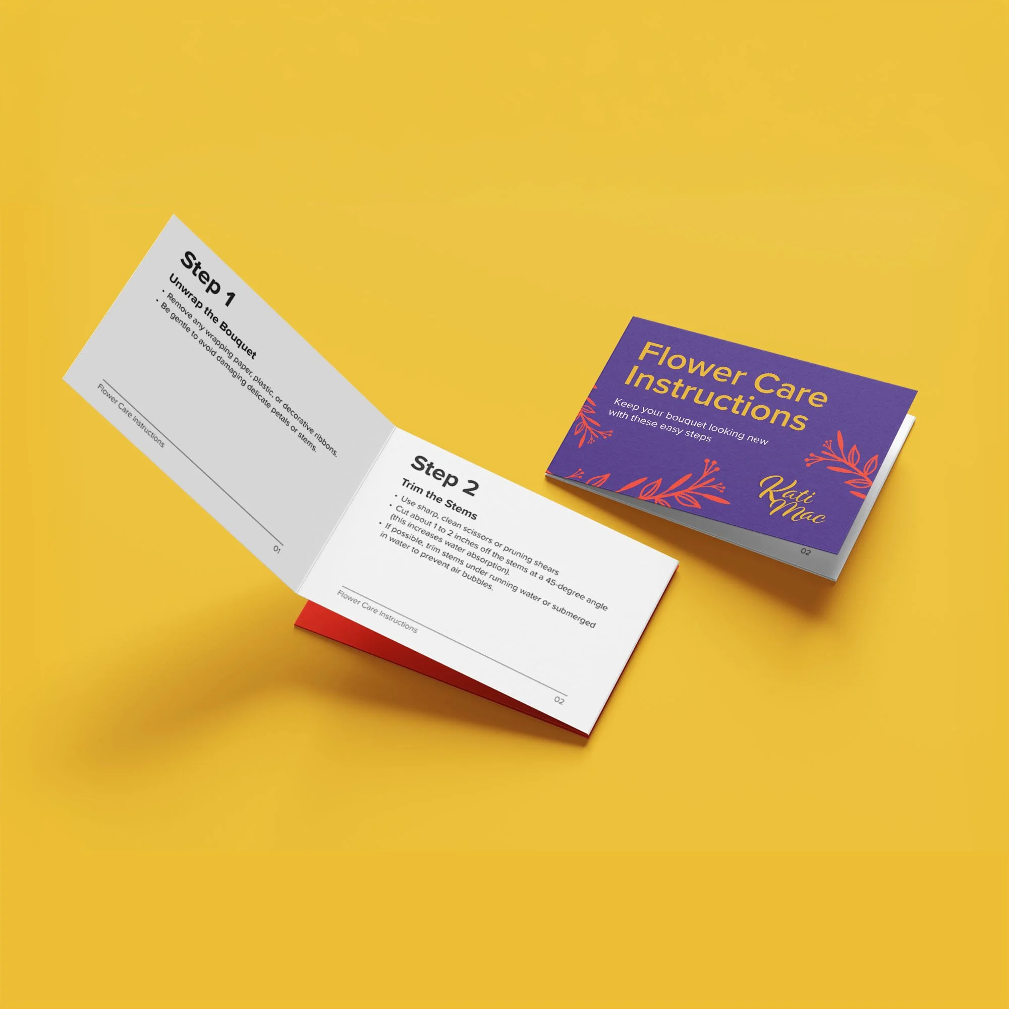 Kati_Mac_Brochure_MockUp.jpg