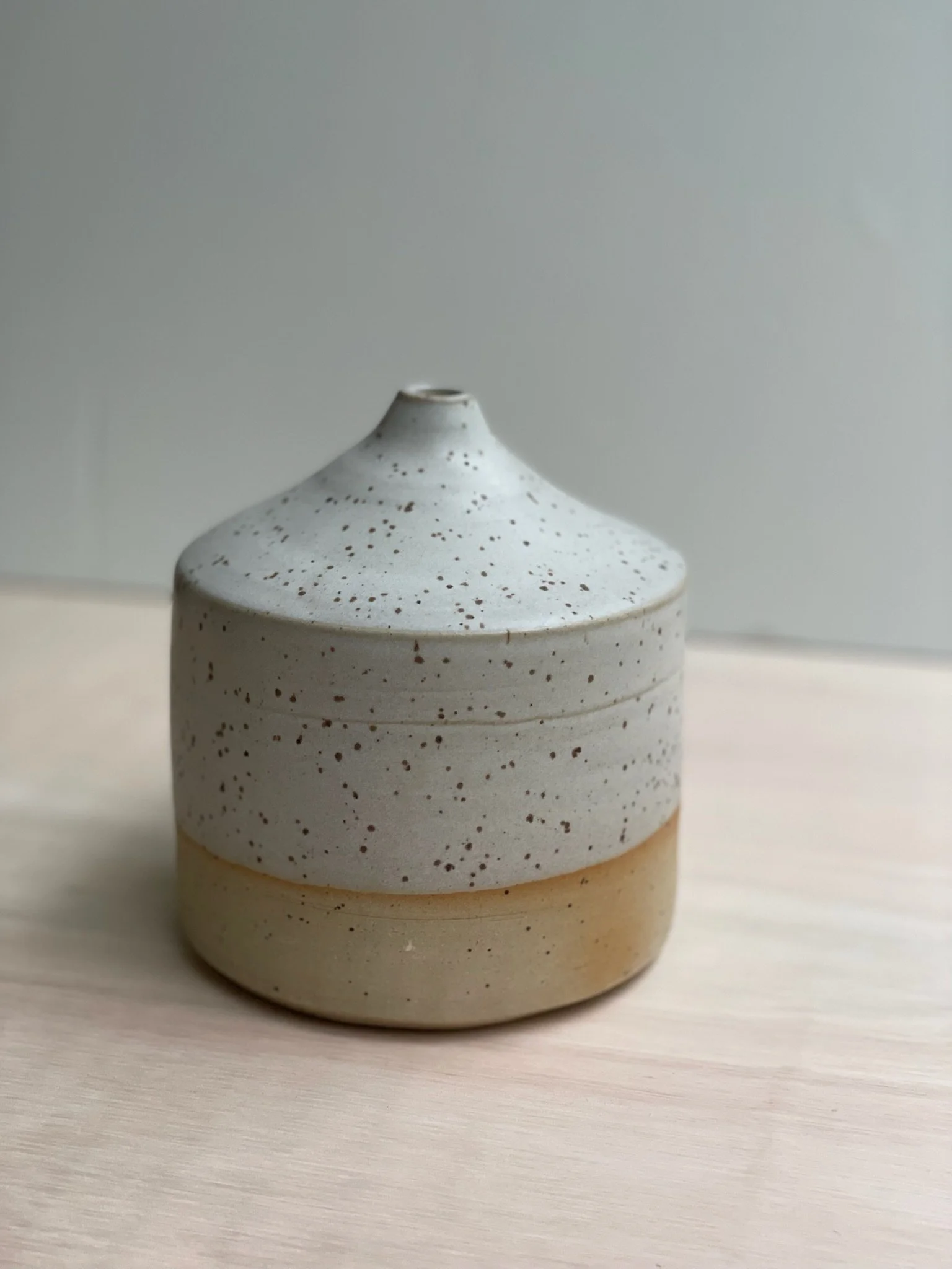 Speckled Vase