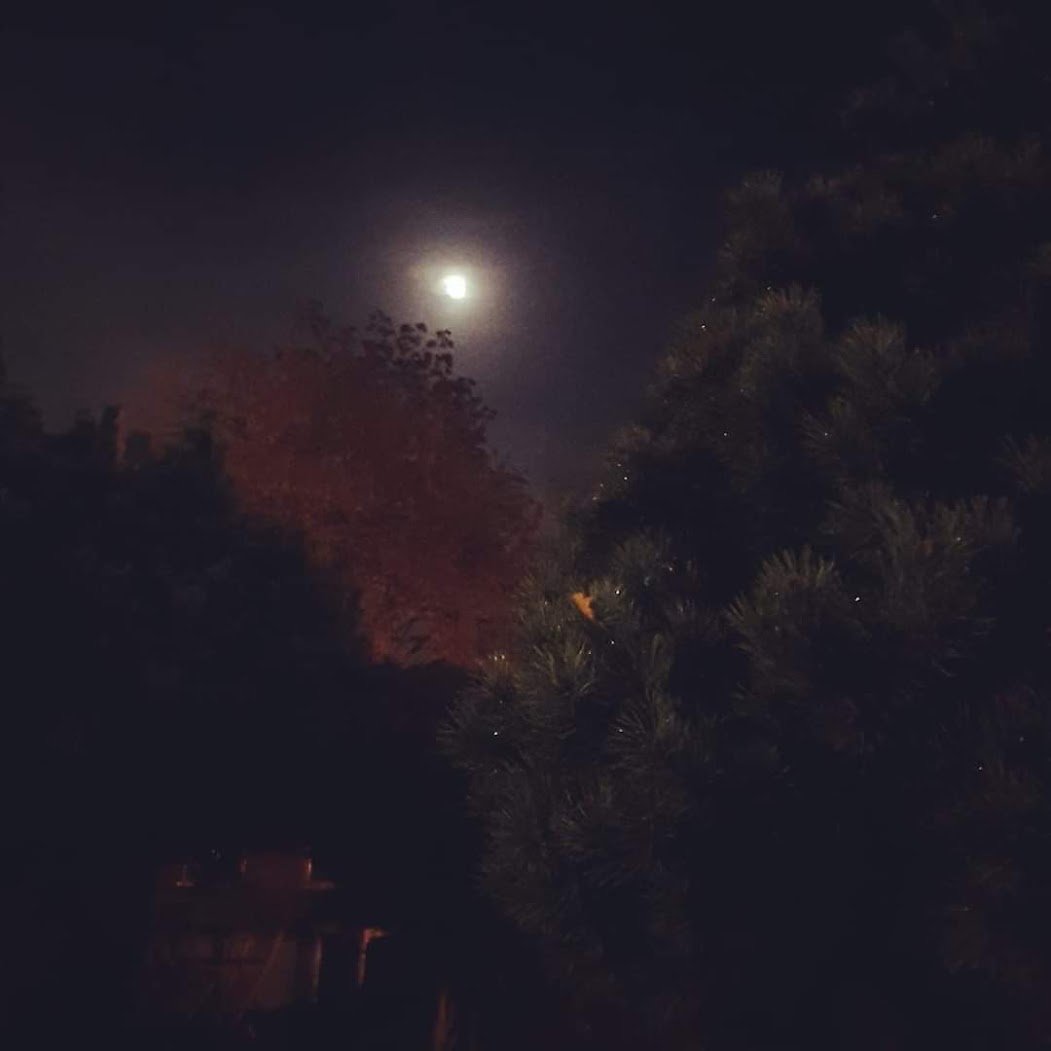 full autumn moon.jpg