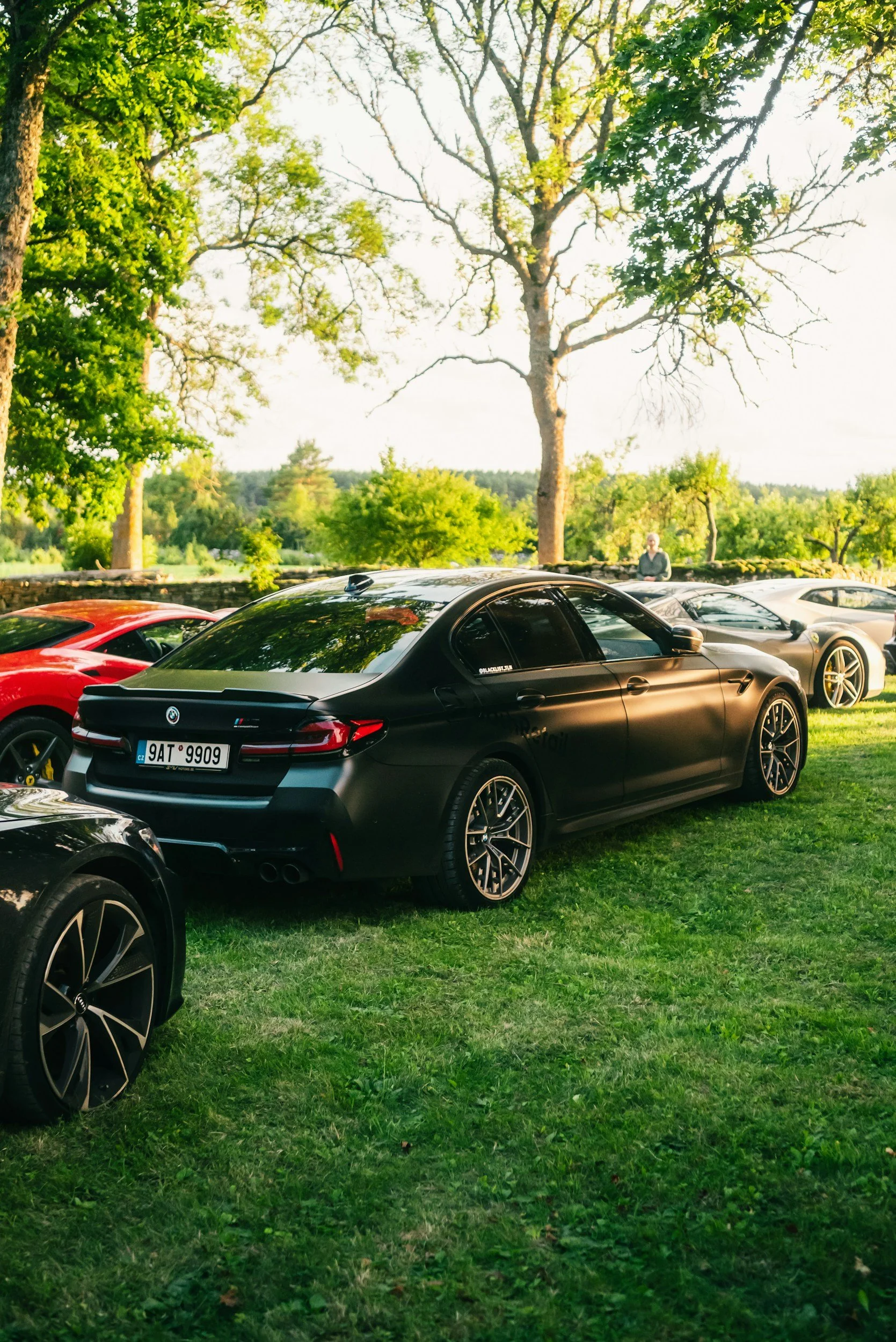 A parking lot filled with luxury cars parked on a grassy area under trees with green foliage. One person is standing in the background, looking at the cars.