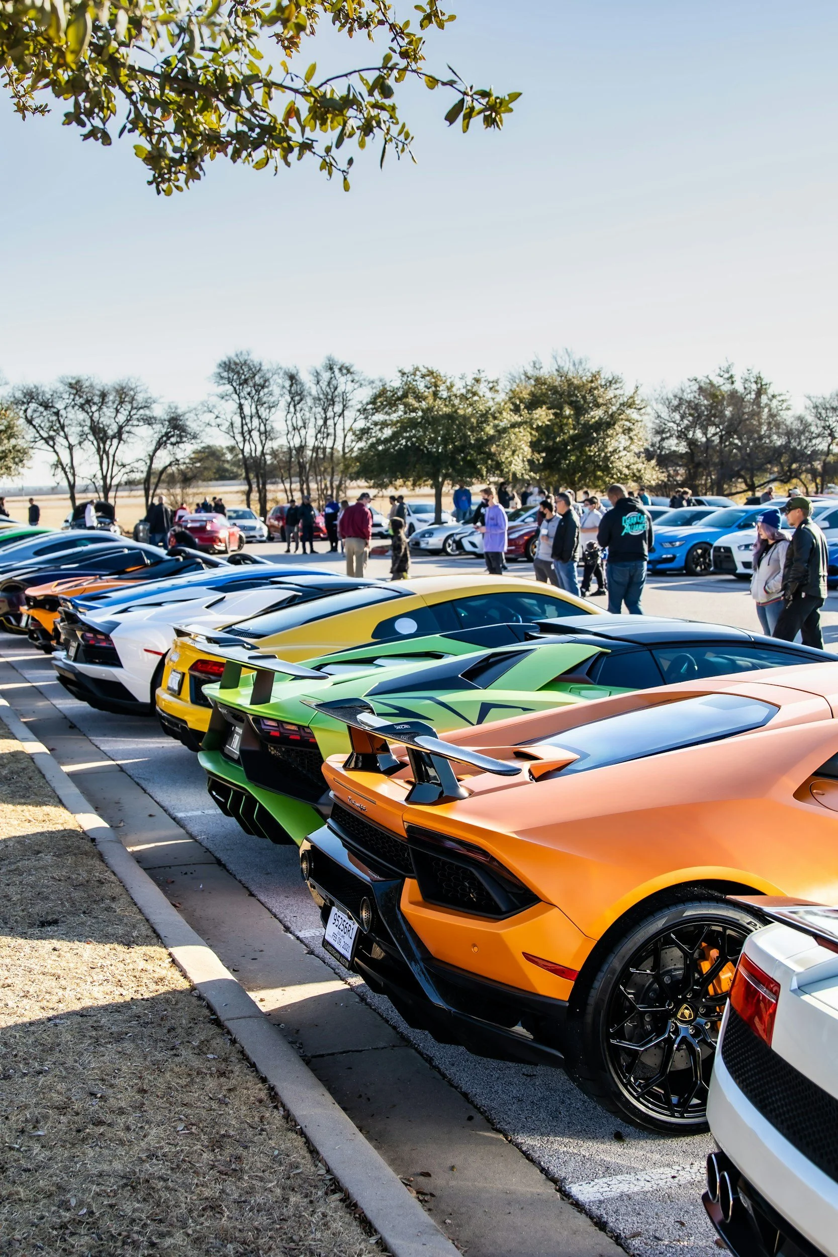 A row of colorful luxury sports cars parked in a lot on a sunny day, with many people walking around and looking at the cars. In the background, there are leafless and leafy trees and a clear blue sky.