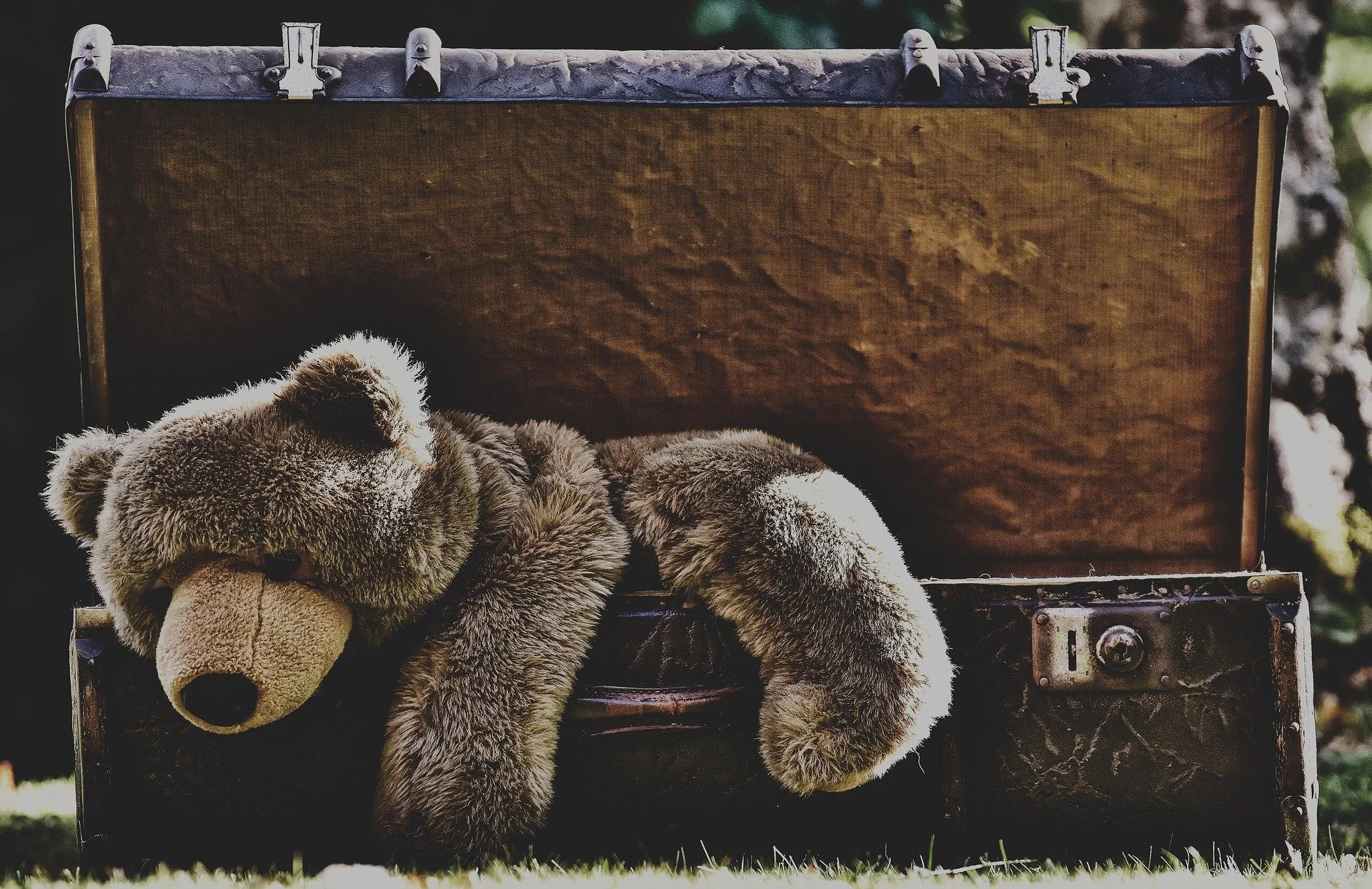 a brown teddy bear in an antiques brown suitcase