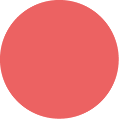 A solid red circle.