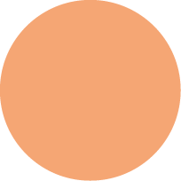 A solid orange circle.