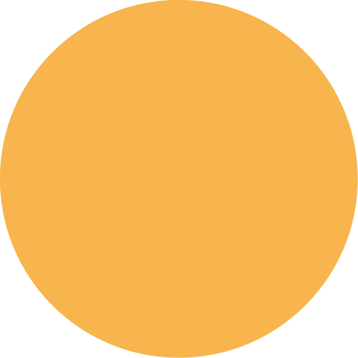 Orange circle on a black background.
