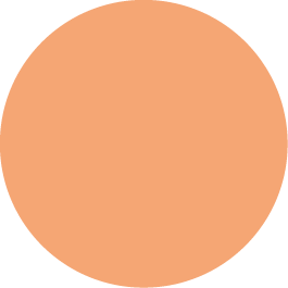 A solid orange circle.