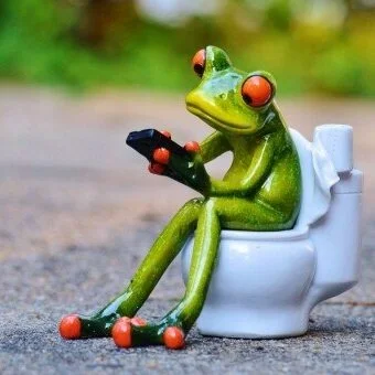 Causes of Blocked Toilets In A Home