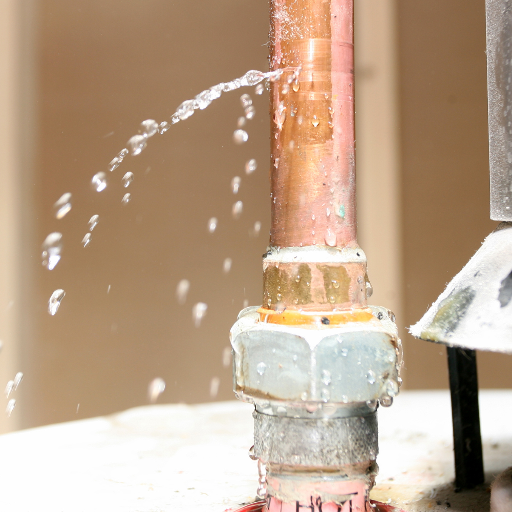 Plumbing Problems That Require a Professional's Help