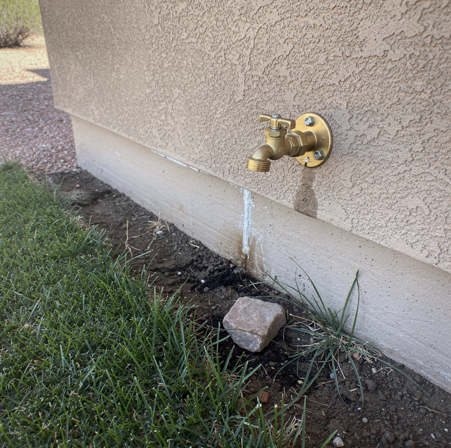 green grass along fence line hiding subsurface drip