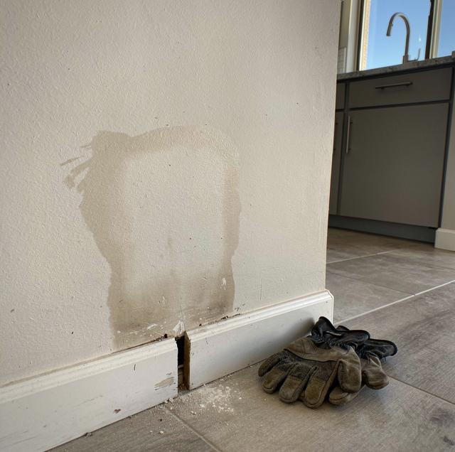 water stain spreading across shared condo drywall