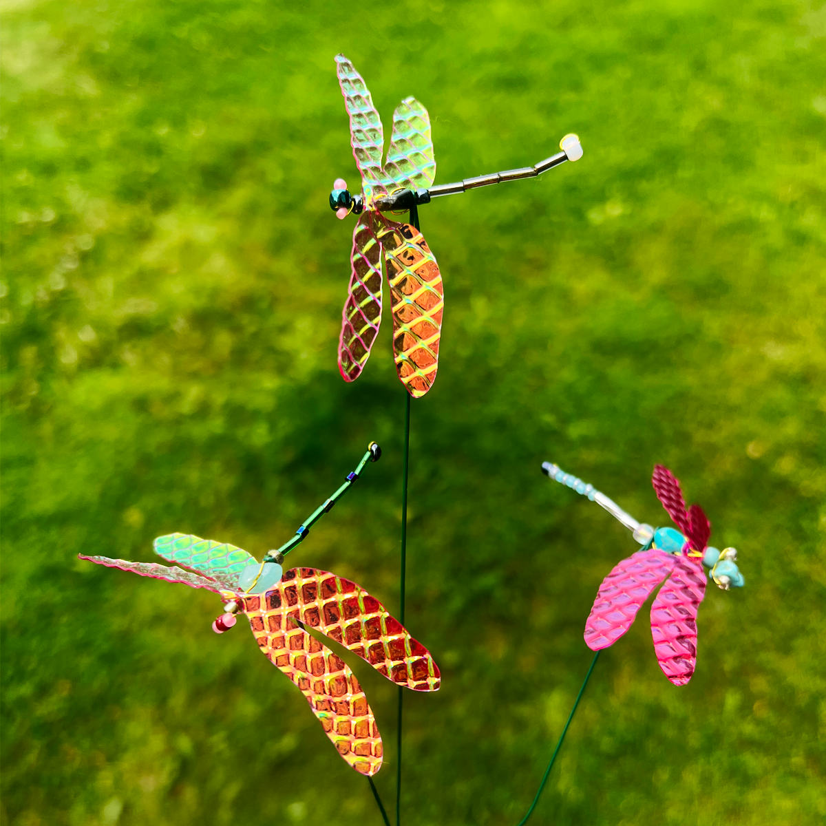 3-Pack Damsels in De-Stress
