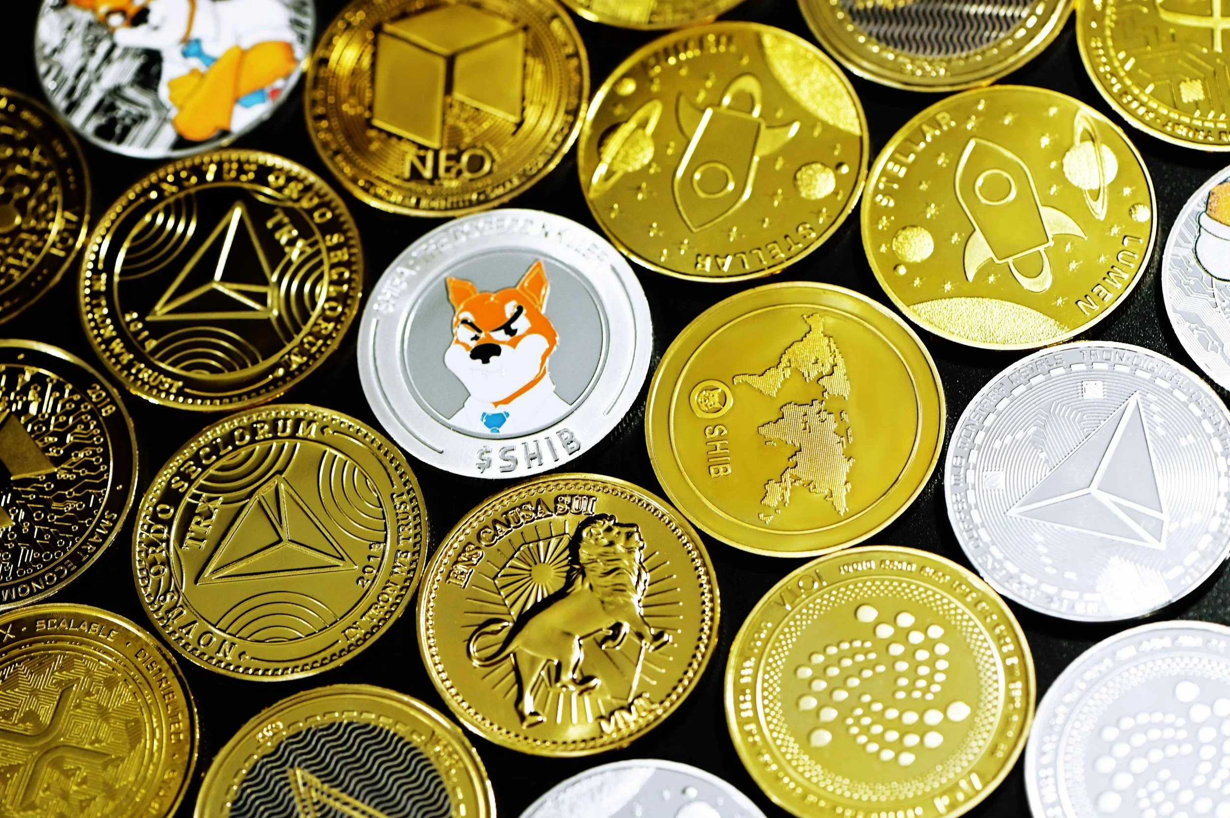 Pawn Shops & Coin Dealers