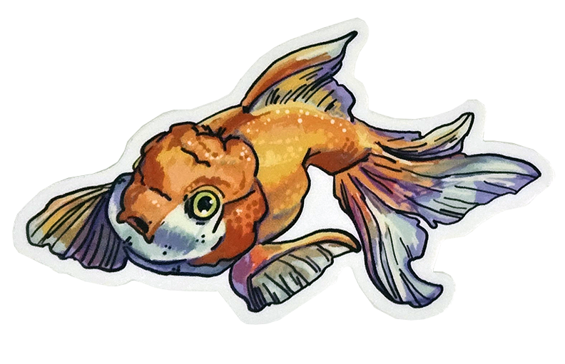 Gold Fish