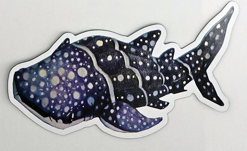 Whale Shark