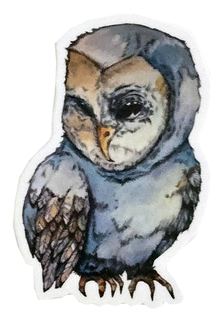 Blue Owl