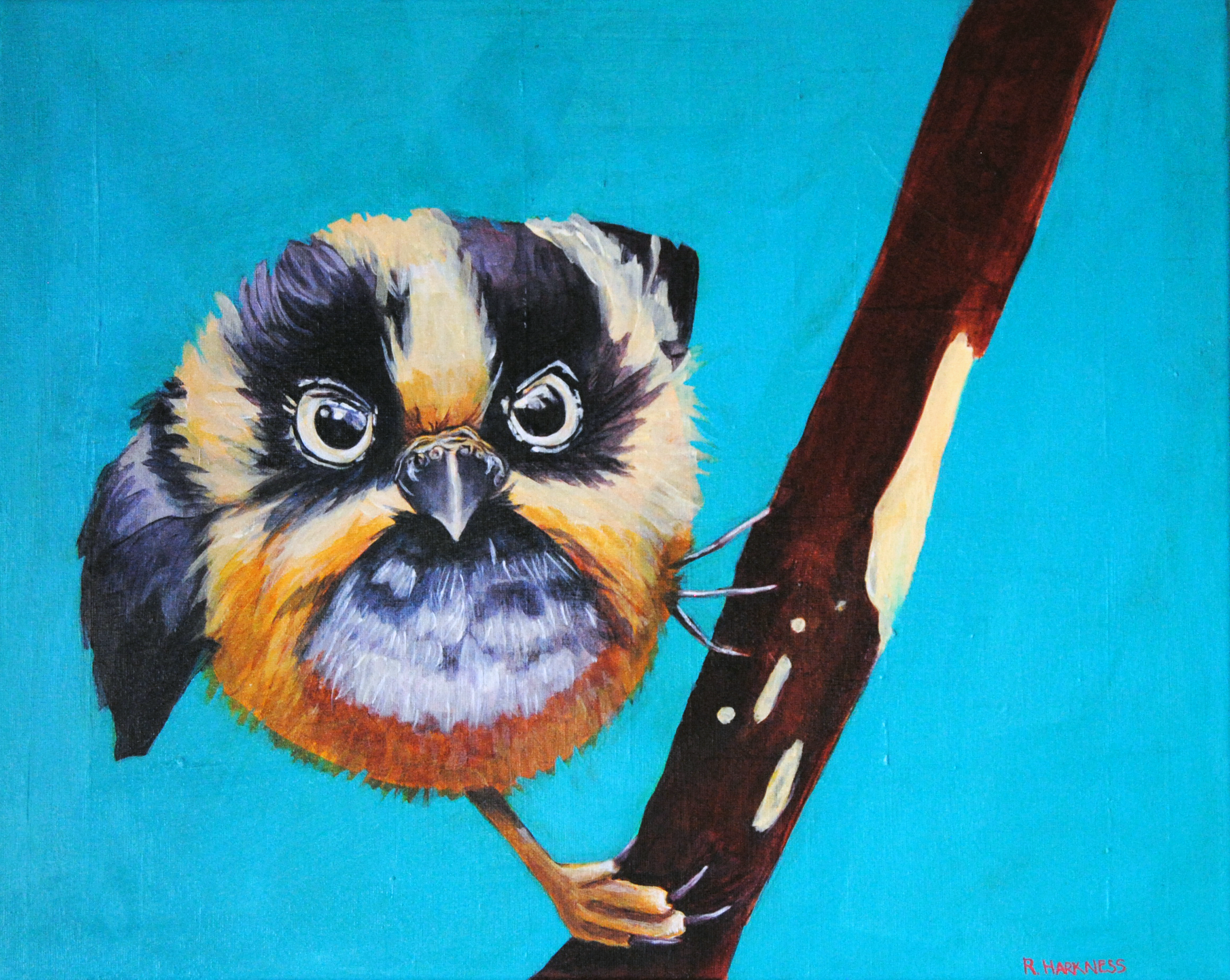 Round Bird