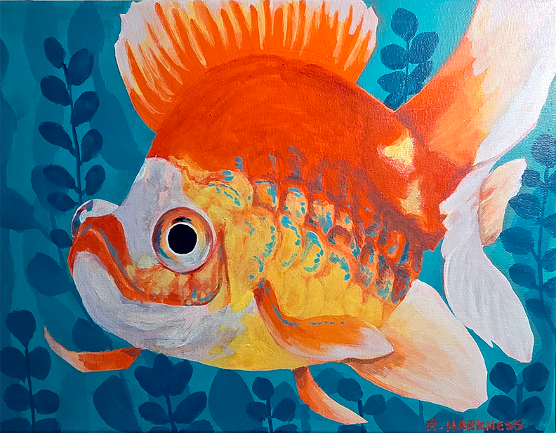 Gold Fish
